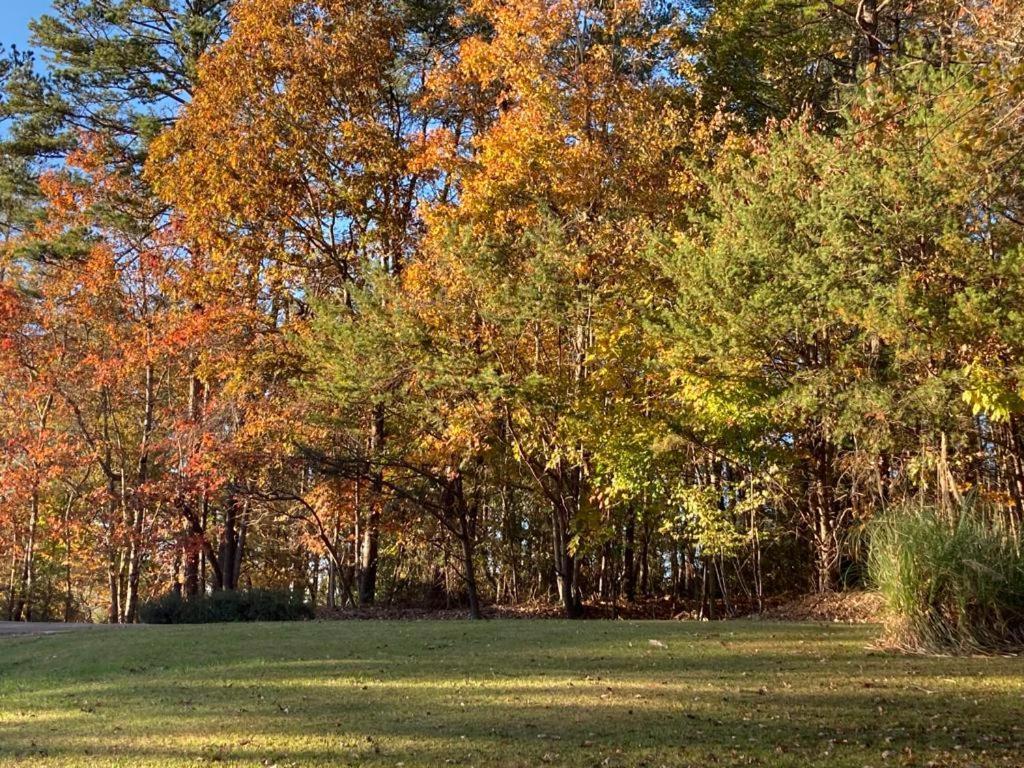 Stay At Rivermist Dahlonega Extérieur photo